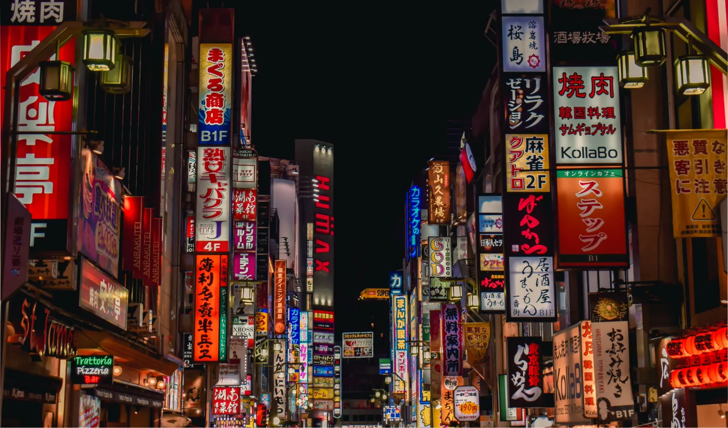 Japan Airport and Travel Arrival