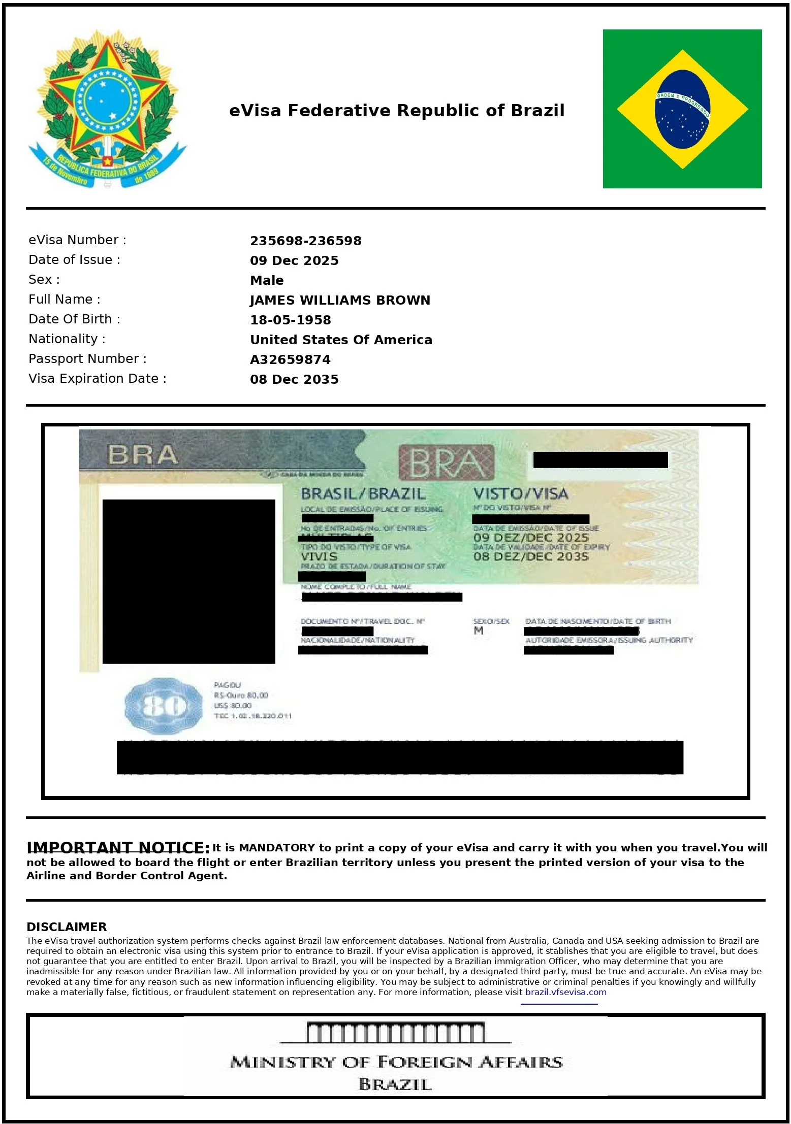 Brazil eVisa Sample Specimen