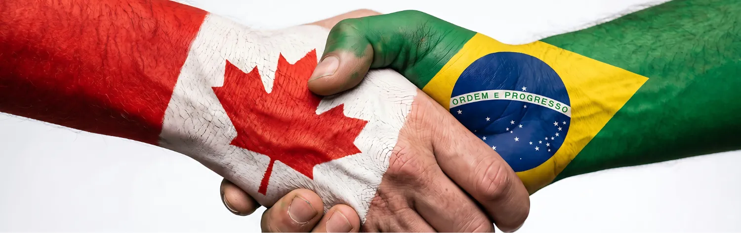 Brazil eVisa Background