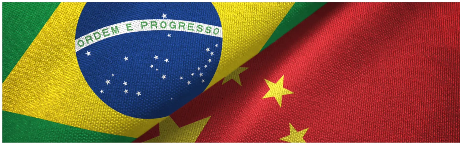 Brazil Visa Background