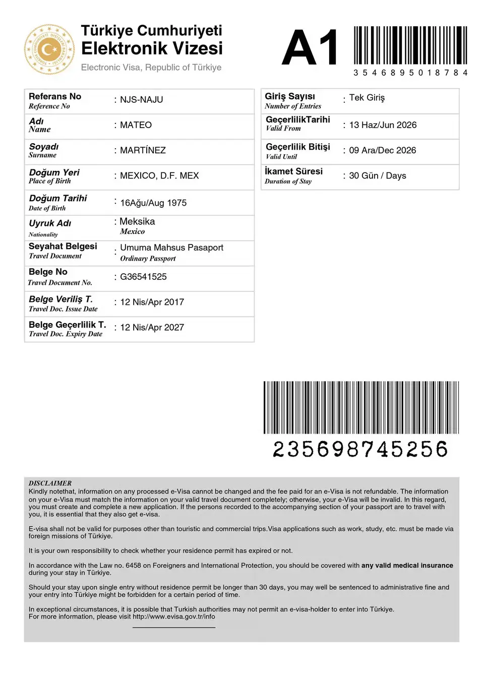 Turkey eVisa Sample