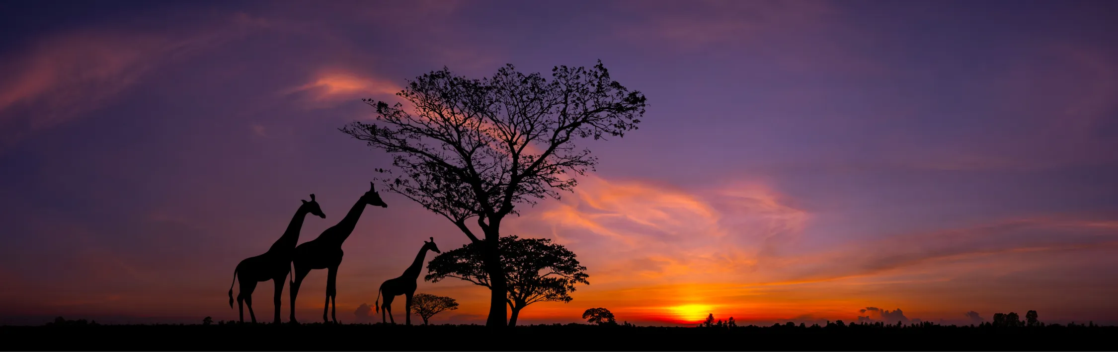 South Africa