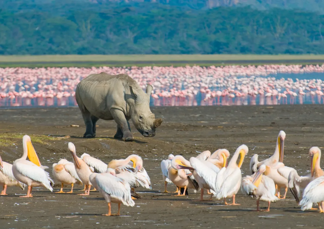 Lake Nakuru National Park Lake Nakuru National Park