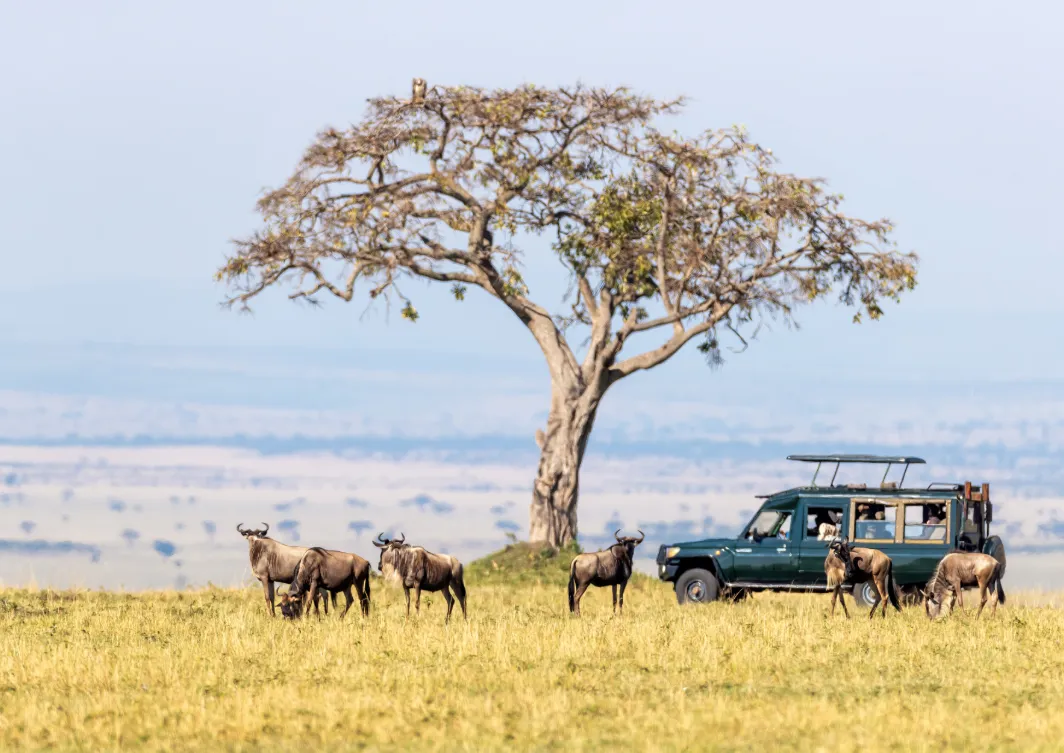 Maasai Mara National Reserve Maasai Mara National Reserve