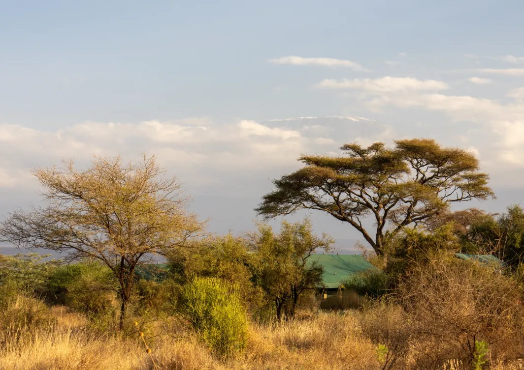 Kenya Blog Cover