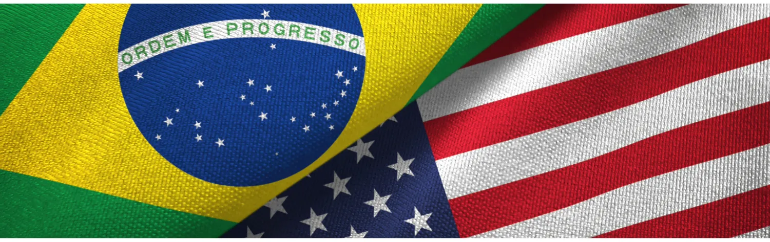 Brazil eVisa Background